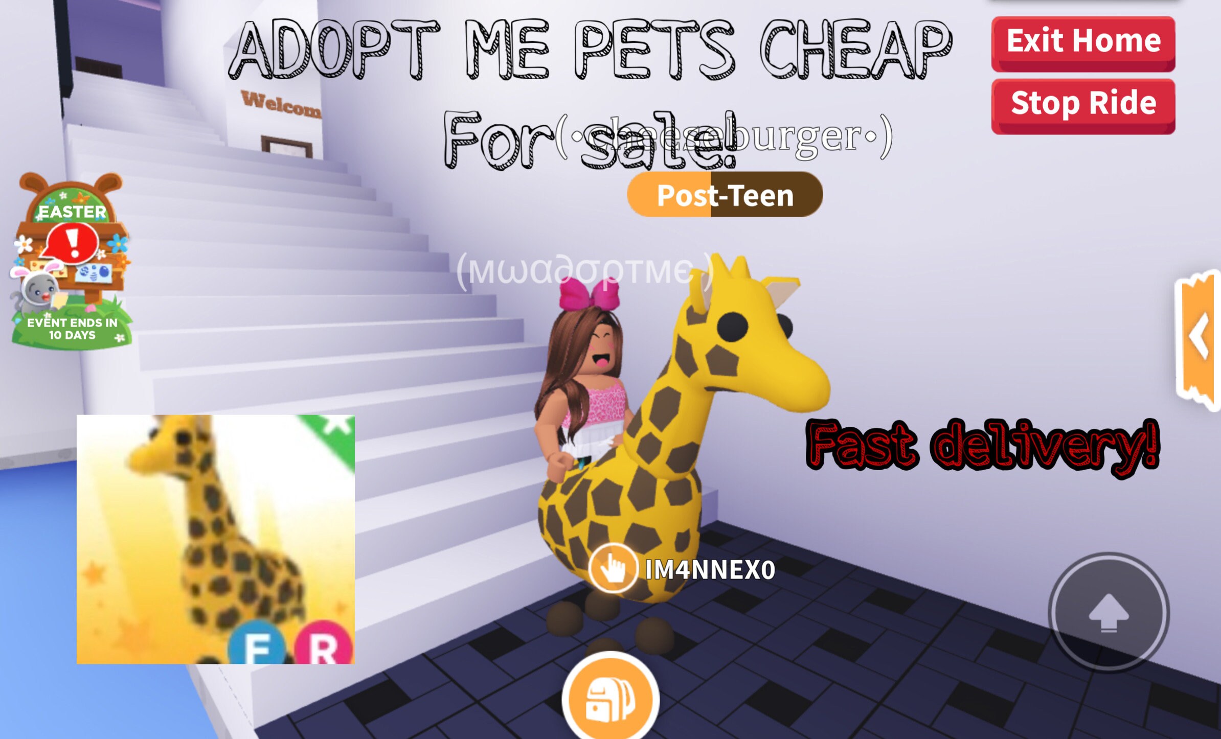 Adopt me pet fly ride giraffe for sale cheap price