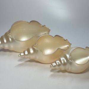 Stunning Holidays Nautical Coastal Sea Shells Conch Shells Pearlized Beach House Decorative Set of 3 Handblown Glass Two&#39;s Company Vintage