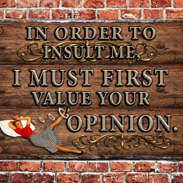 In order to insult me, I first must value your opinion- Funny Rustic Metal meme Sign