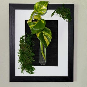 Hanging Propagation Station