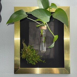 Hanging Propagation Station