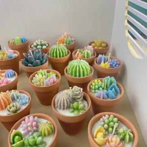 May include: A selection of terracotta plant pots filled with colourful succulent candles. The candles are various shades of green, pink, yellow, and blue, and are designed to resemble different types of succulents. The candles are arranged on a light-coloured surface.