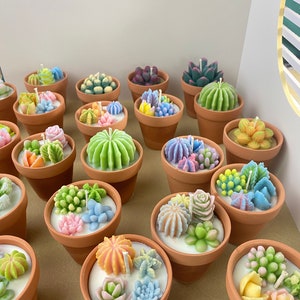 cactus candle| succulent candle |handmade candle| cactus garden candle| Plant pot candle| cactus pot | desk decor| Pastel color candle| gift