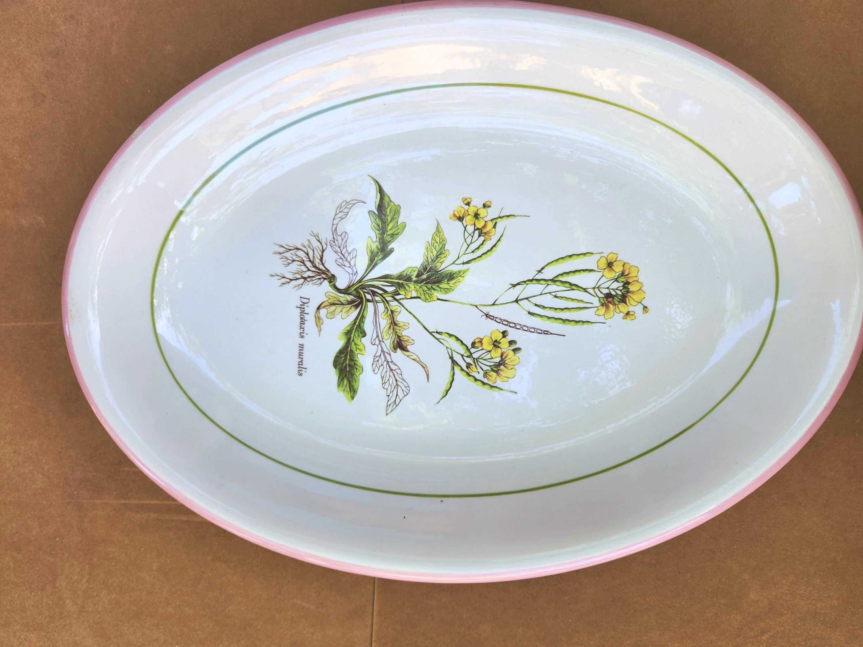 La primula italy - Etsy 日本