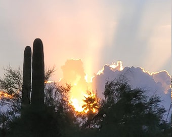 Burning Palm Tree