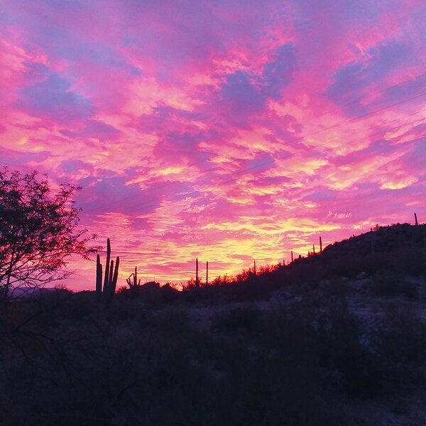 Cotton Candy Sky