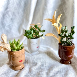 May include: Three small ceramic planters, each with a face design, hold succulents and dried plants. The planters are in shades of brown and white, with closed eyes and red lips. The plants add a touch of green and natural texture to the arrangement.
