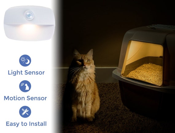 Amazon.com: Ring Jobsite Security – Motion Sensor : Amazon Devices &  Accessories