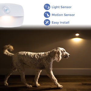 May include: A white motion-activated night light with a light sensor and easy install features. The light is illuminating a white dog walking in a dark room.