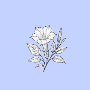Datura Flower SVG – Boho Fantasy Botanical Line Art – Digital Cut File for Cricut & Silhouette – Mystical Floral SVG for Crafts