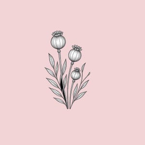 Boho Poppy Pod SVG – handgetekende fijne lijn Poppy Pod clipart – digitaal snijbestand voor Cricut & silhouet – Boho Floral SVG voor DIY Crafts
