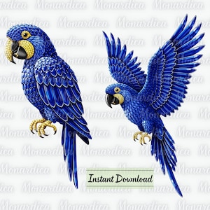 Può includere: Due illustrazioni digitali di ara blu. Un'ara è appollaiata, l'altra è in volo con le ali spiegate. Gli uccelli hanno accenti gialli sulla testa e sui piedi, con becchi neri. Il testo "Instant Download" è in basso.