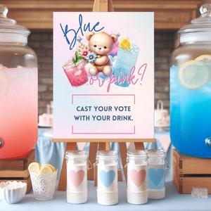 Gender Reveal Drink Station Sign for Pink or Blue Themed Baby Reveal Cast Your Vote Drink Game Activity Printable GV12