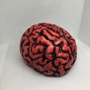 May include: A realistic, red-colored brain model with dark veins. The brain is a prop for Halloween or medical displays. The model is made of a material that mimics the texture of a real brain.