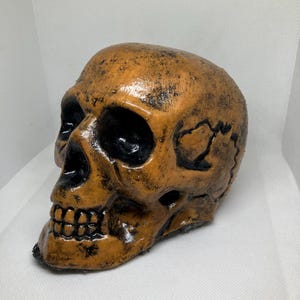 May include: A detailed, orange-brown skull with black accents. The skull has a glossy finish and visible teeth. The eye sockets and nasal cavity are dark, creating a contrast with the lighter bone color. The skull is a decorative item.