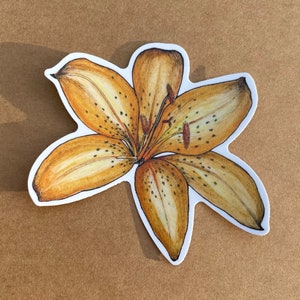Orange Lily Flower Sticker Whimsical Floral Watercolor Art Tiger Lily Perennial Flower Design Summer Vibes Gardener Gift Botanical Sticker