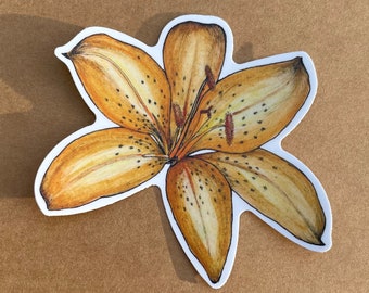 Orange Tiger Lily Sticker:  Watercolor Floral Art