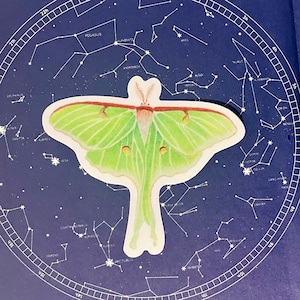 Adesivo falena Luna Falena Adesivo Amante della falena Regalo Adesivo entomologo per gli amanti degli insetti Adesivi per insetti Bella Luna Falena