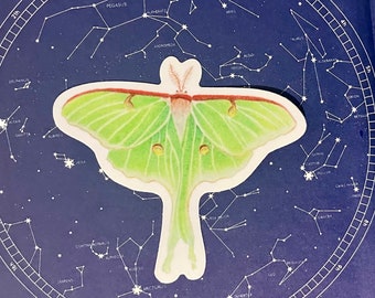 Luna Moth Sticker: Insect Decal for Laptop, Water Bottle