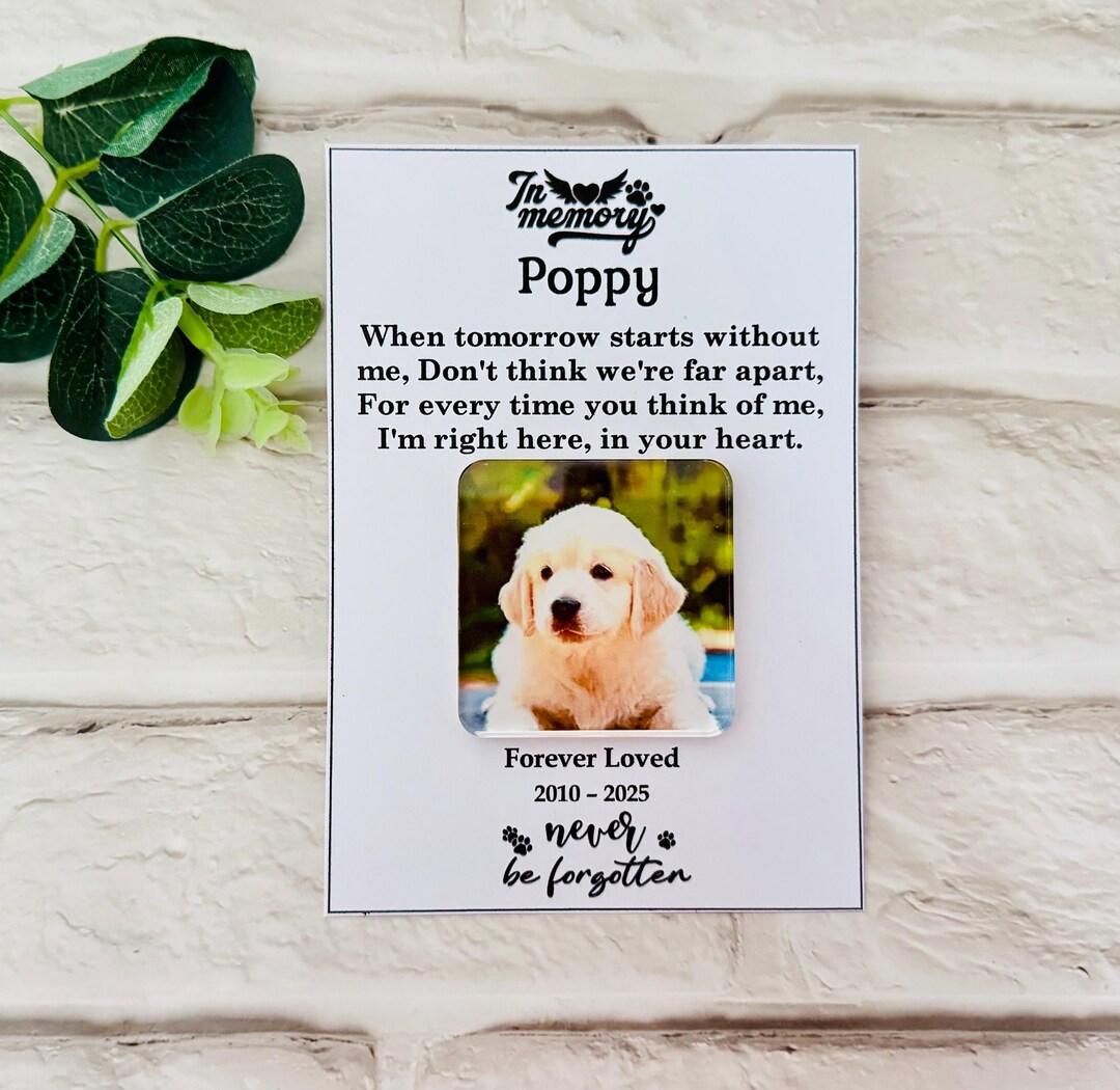 Pet Memorial Gift Personalized Photo Fridge Magnet: Dog Cat Loss Gifts ...