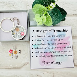 Friendship Gift, Gift for Friend, Long Distance, Missing You,A Little Gift of Friendship, Thinking of you Locket keyring Card Christmas gift