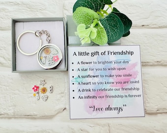 Friendship Gift, Gift for Friend, Long Distance, Missing You,A Little Gift of Friendship, Thinking of you Locket keyring Card Christmas gift