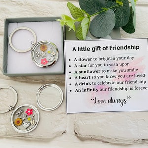 Friendship Gift, Gift for Friend, Long Distance, Missing You, A Little Gift of Friendship,  Thinking of you - Locket keyring + Card