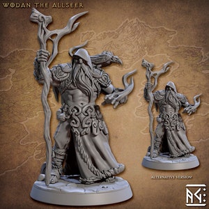 Human Druid Wizard Mage Wodan The Allseer Skutagaard Northmen Saga II w/ choice of modular weapons 3D Models by Artisan Guild DnD Tabletop