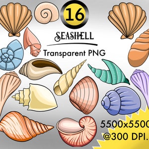 Colección Vibrant Shells: PNG 16 Clip Art colorido y sellos digitales