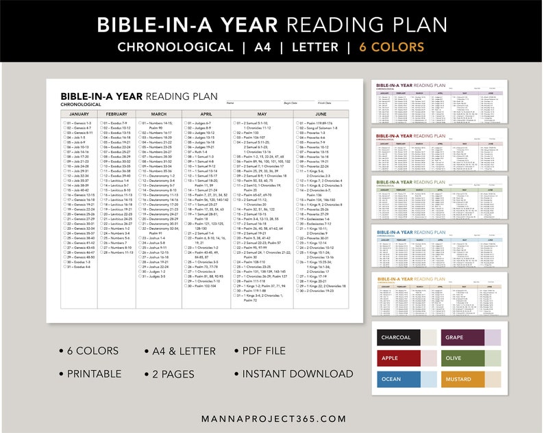 Chronological Bible-in A Year Reading Plan 1 Year Bible - Etsy