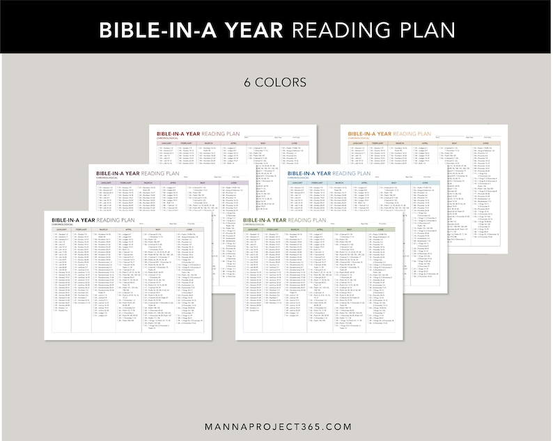 Chronological Bible-in A Year Reading Plan 1 Year Bible - Etsy
