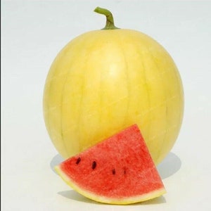 Heirloom 'Huang Pi Qiu' Yellow Skin Red Watermelon -20PCS Seeds