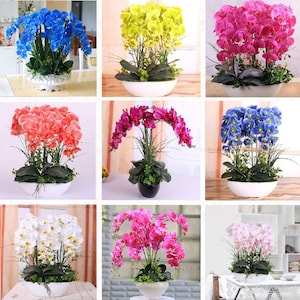 May include: Nine artificial orchid plants in white pots. The orchids are in various colors, including pink, white, blue, yellow, and red.