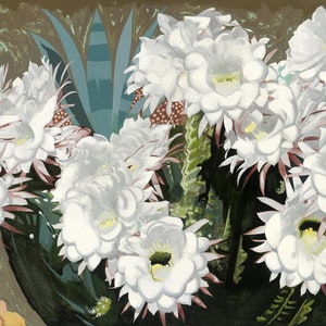 Giant Argentine Cactus in Bloom, limited edition signed giclee