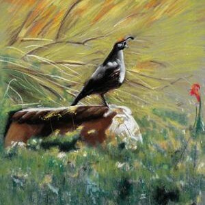 Desert morning, limited edition signed giclee
