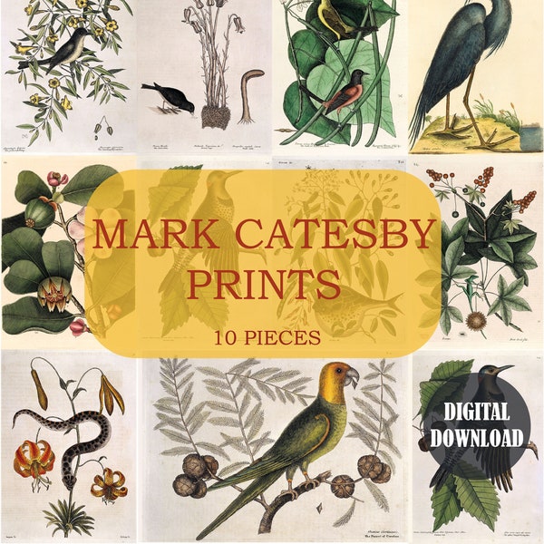 Mark Catesby Prints Set of 10 Printable Images, Classic Digital Wall Decor Art, Vintage Retro, Instant Download, Digital Collage