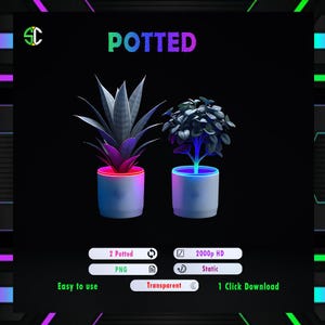 May include: Two potted plants, one with a green and white striped plant and the other with a green leafy plant. Both plants are in white pots with a neon pink and blue glow around the rim of the pots. The image has the text "POTTED" at the top and "2 Potted PNG" and "2000p HD Static" in the bottom left and right corners.