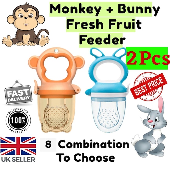 Baby Dummy Pacifier Soother 2PC Baby BPA free Silicone  Feeding Nibble Weaning Nutrition Pacifier Fresh Fruit Food Feeder  Birthday Gifts