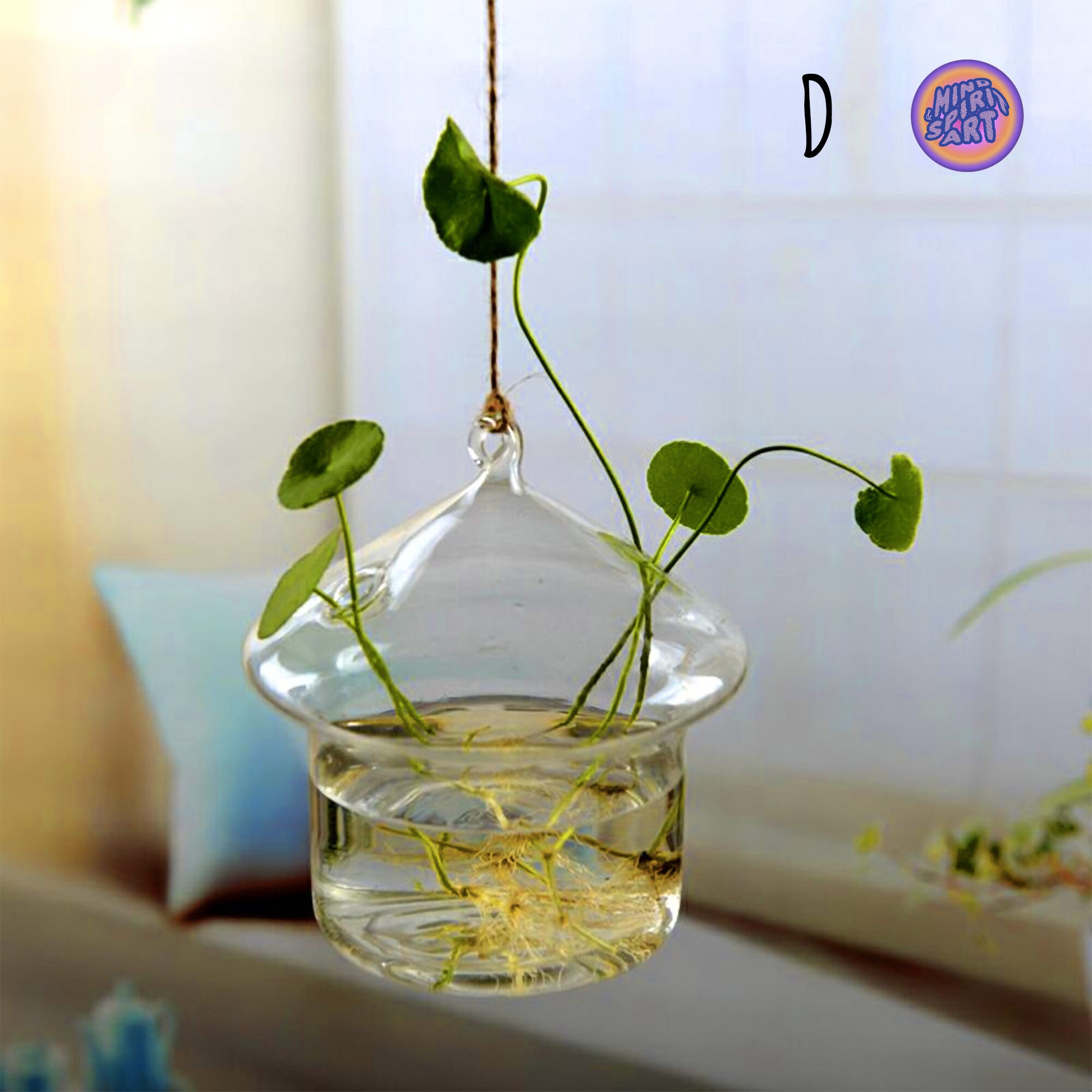 Propagation Station Wall Hanging Vase Holder for Propagating Etsy