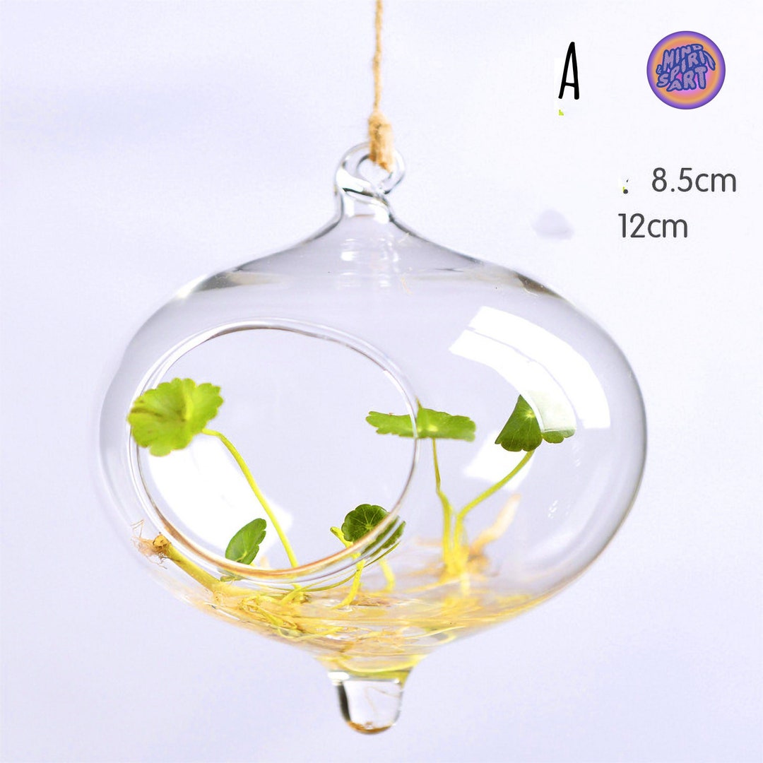 Propagation Station Wall Hanging Vase Holder for Propagating Etsy