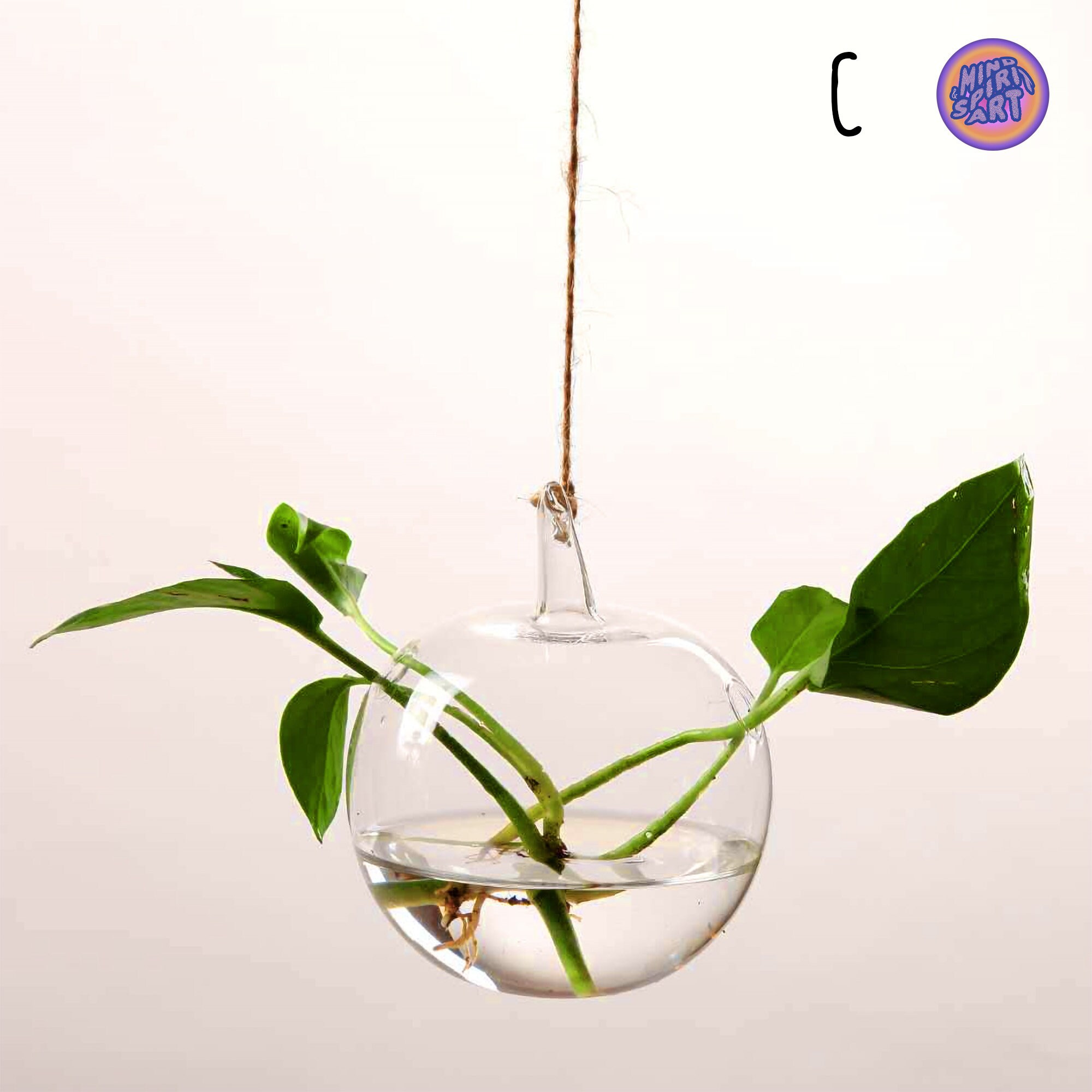 Propagation Station Wall Hanging Vase Holder for Propagating Etsy