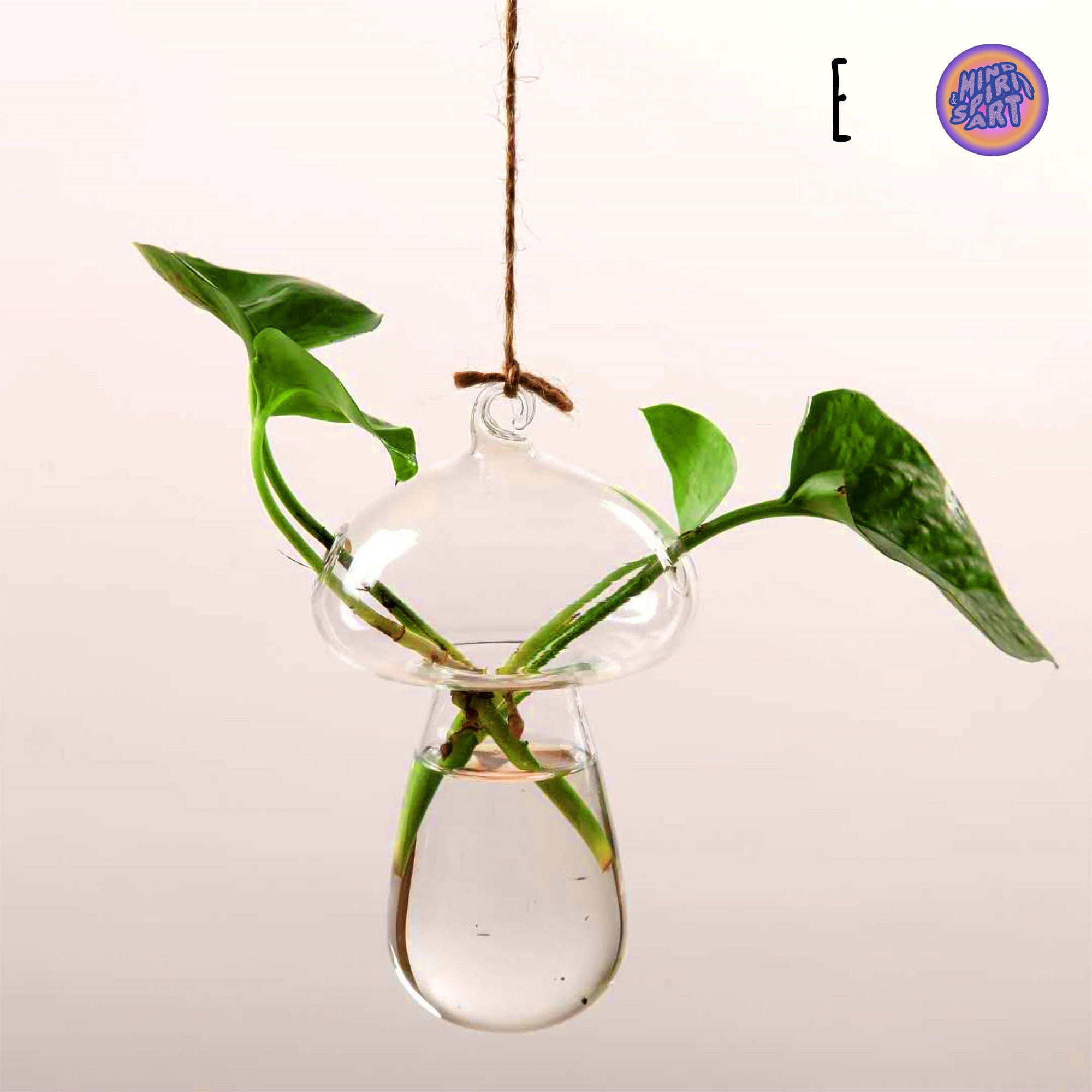 Propagation Station Wall Hanging Vase Holder for Propagating Etsy