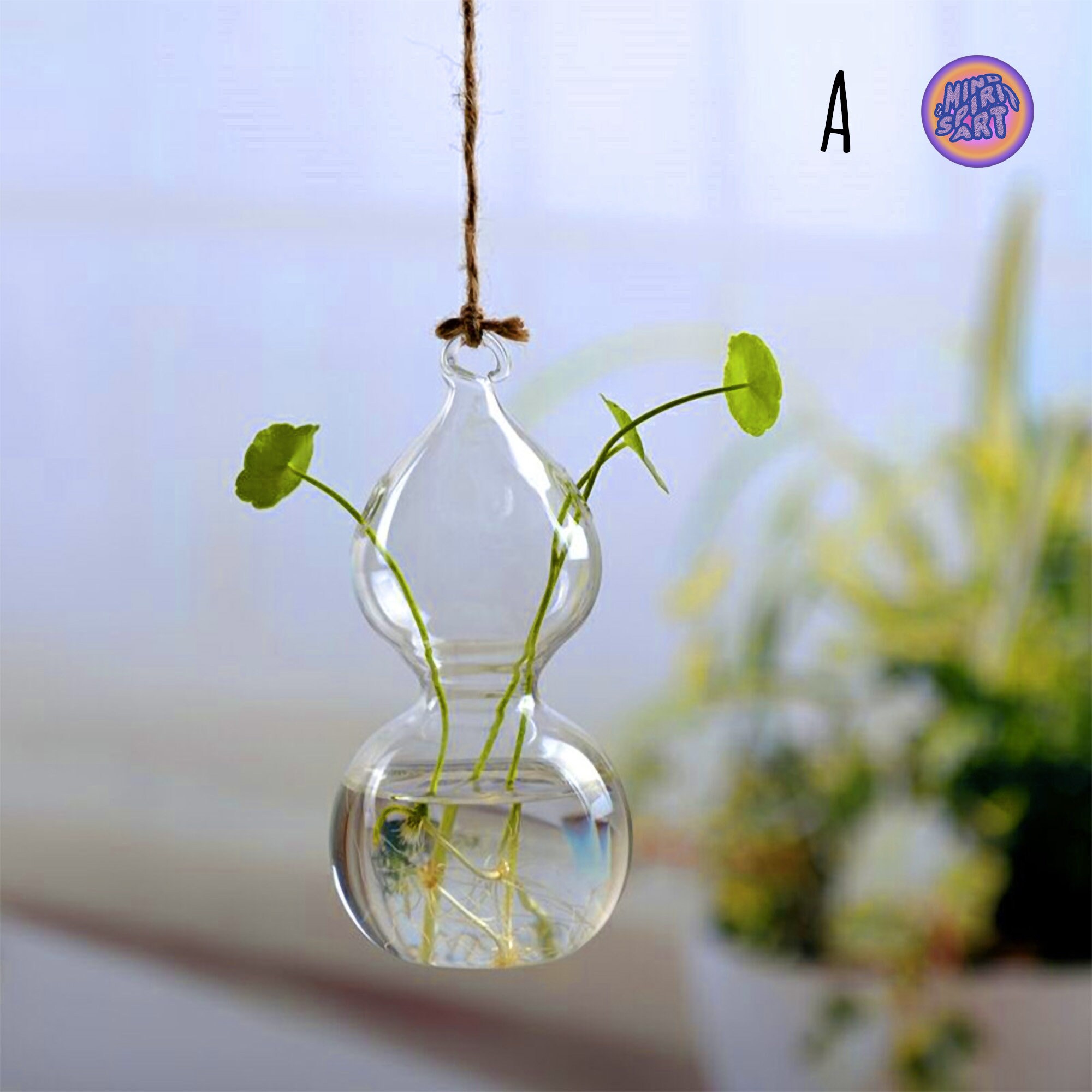 Propagation Station Wall Hanging Vase Holder for Propagating Etsy