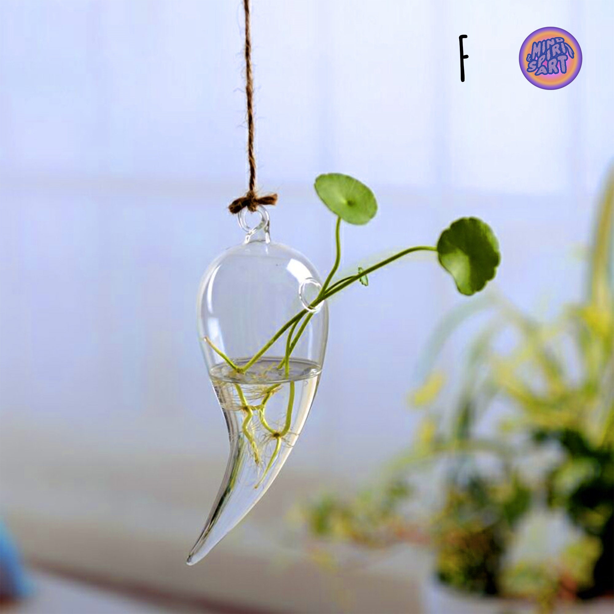 Propagation Station Wall Hanging Vase Holder for Propagating Etsy