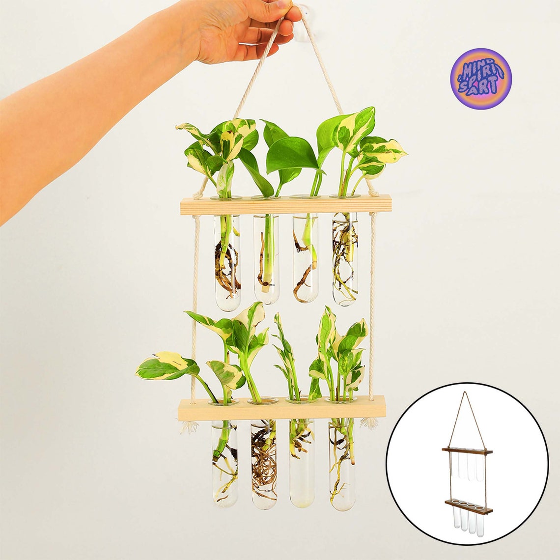 Propagation Station Wall Hanging Test Tube Holder for Etsy