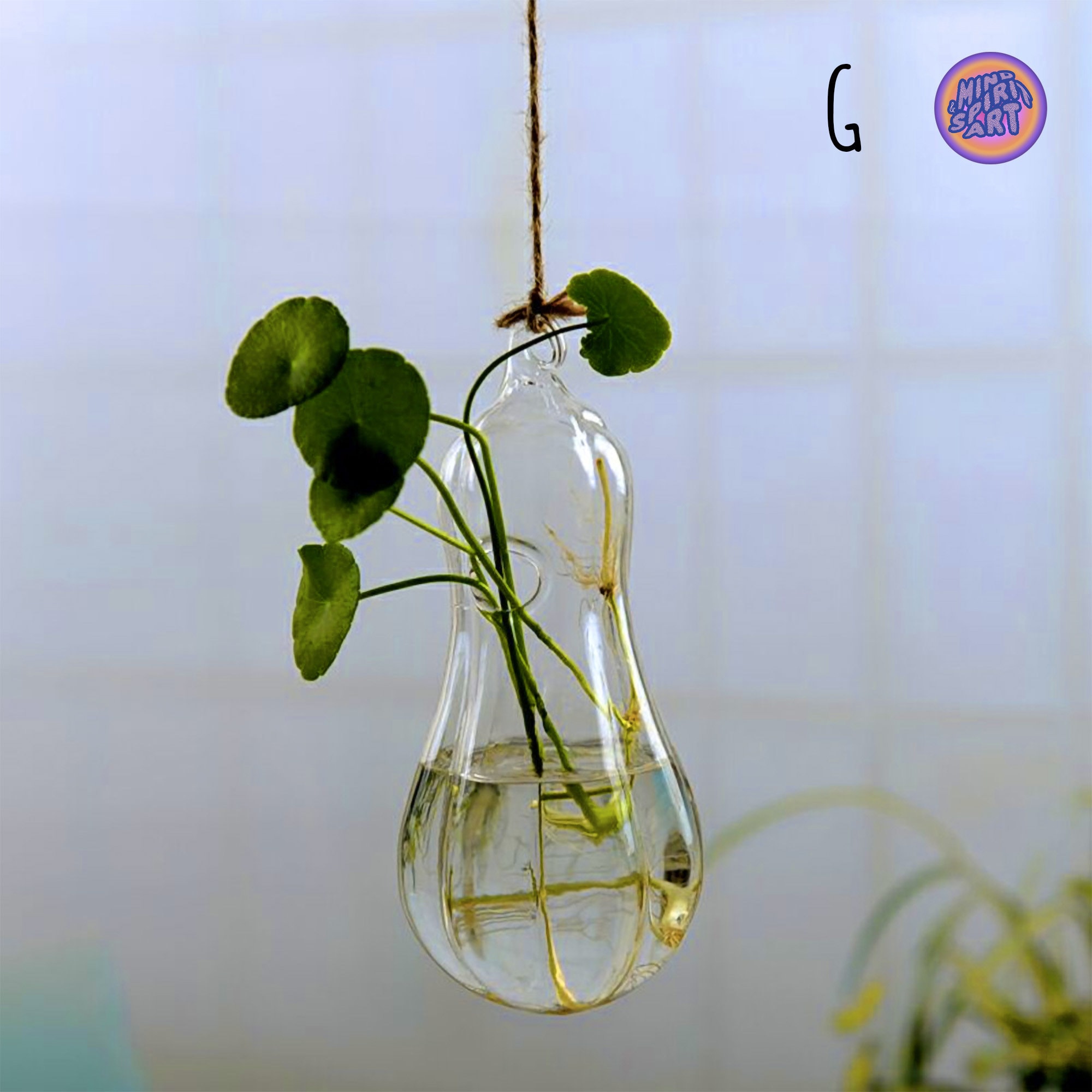 Propagation Station Wall Hanging Vase Holder for Propagating Etsy