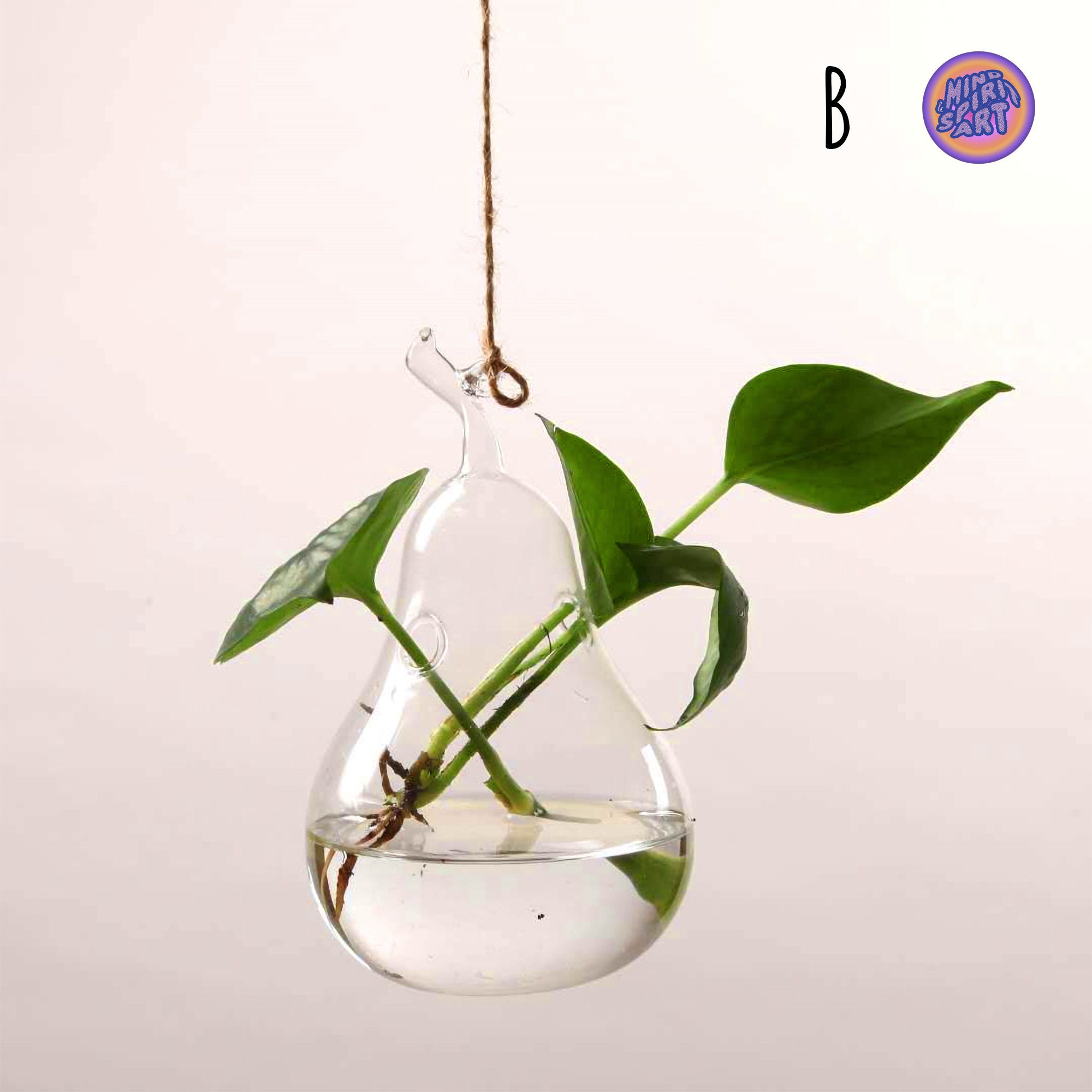 Propagation Station Wall Hanging Vase Holder for Propagating Etsy