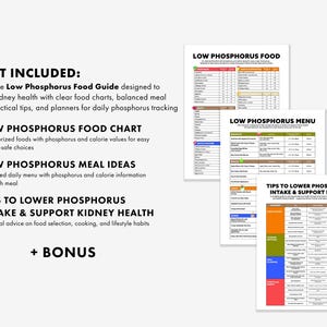 May include: A white document with the text "WHAT INCLUDED" and a list of items, including a Low Phosphorus Food Guide, food chart, meal ideas, and tips. Several colorful documents with charts and lists are also visible.