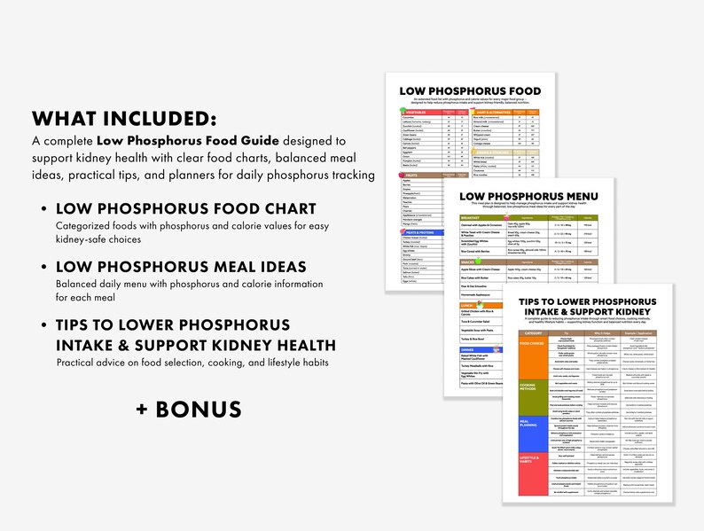 May include: A white document with the text "WHAT INCLUDED" and a list of items, including a Low Phosphorus Food Guide, food chart, meal ideas, and tips. Several colorful documents with charts and lists are also visible.