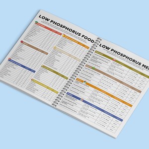 May include: Open spiral-bound notebook with the title "LOW PHOSPHORUS FOODS" and "LOW PHOSPHORUS MENU" on the cover. The pages are filled with lists of foods and their phosphorus content, categorized by food group, with a light blue background.
